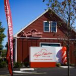 Store – gallery image 4