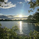 Store – gallery image 5