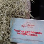 Store – gallery image 4