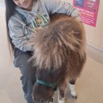 Store – gallery image 3