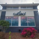 Store – gallery image 4