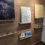 Store – gallery image 3