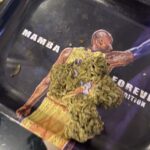 Store – gallery image 5