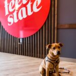 Store – gallery image 5