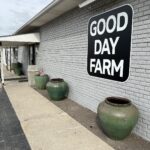 Store – gallery image 1