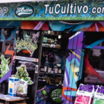 Store – gallery image 1