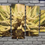 Store – gallery image 5