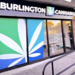 Store – gallery image 2