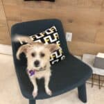 Store – gallery image 2