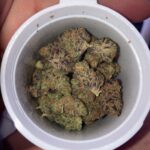 Store – gallery image 5