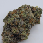 Store – gallery image 4