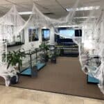 Store – gallery image 2