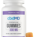 Store – gallery image 4