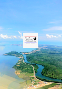 Belize Cannabis Foundation Central America