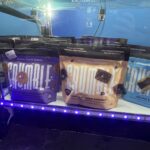 Store – gallery image 3