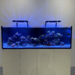 Store – gallery image 3