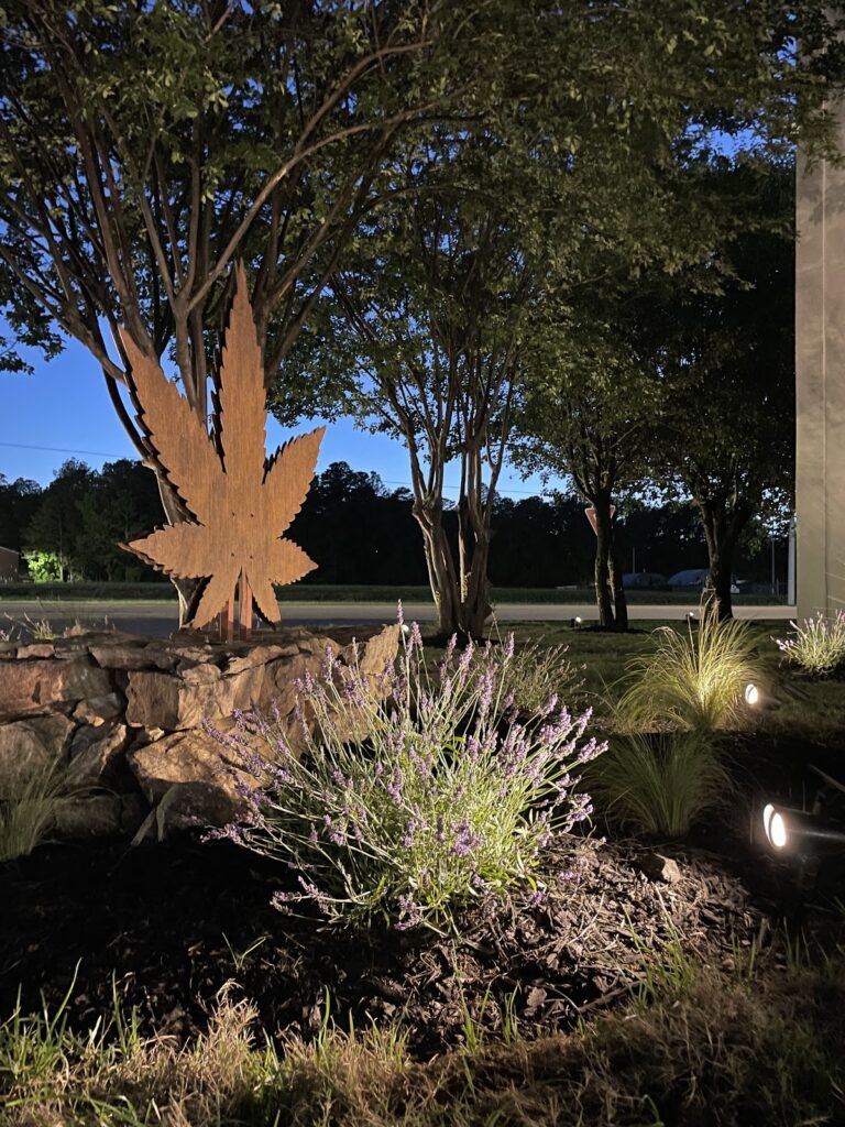 Store – main photo