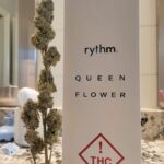 Store – gallery image 4