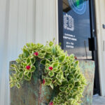 Store – gallery image 4