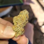 Store – gallery image 5