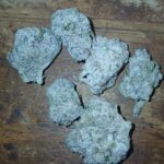 Store – gallery image 1