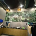 Store – gallery image 5