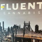 Store – gallery image 4