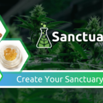 Store – gallery image 3