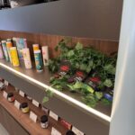 Store – gallery image 3