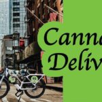 Store – gallery image 2