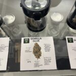 Store – gallery image 3