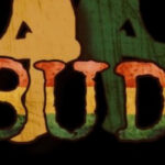 Store – gallery image 4