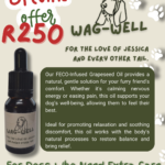 Store – gallery image 4