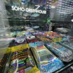 Store – gallery image 5