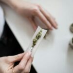 Store – gallery image 5