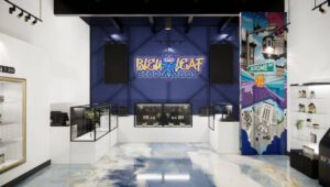 Bleu Leaf Dispensary — The Bronx, NY