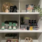 Store – gallery image 5