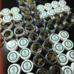 Store – gallery image 5