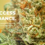 Store – gallery image 1