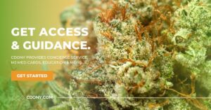 Cannabis Doctors of New York — New York, NY