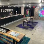 Store – gallery image 3