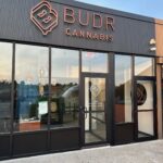 Store – gallery image 5