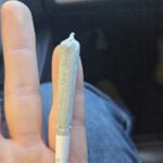 Store – gallery image 2