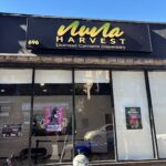 Store – gallery image 1