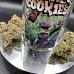 Store – gallery image 5