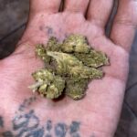 Store – gallery image 4