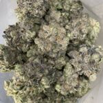 Store – gallery image 5