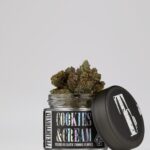 Store – gallery image 5