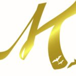 Store – gallery image 3