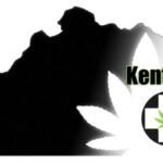 Store – gallery image 5